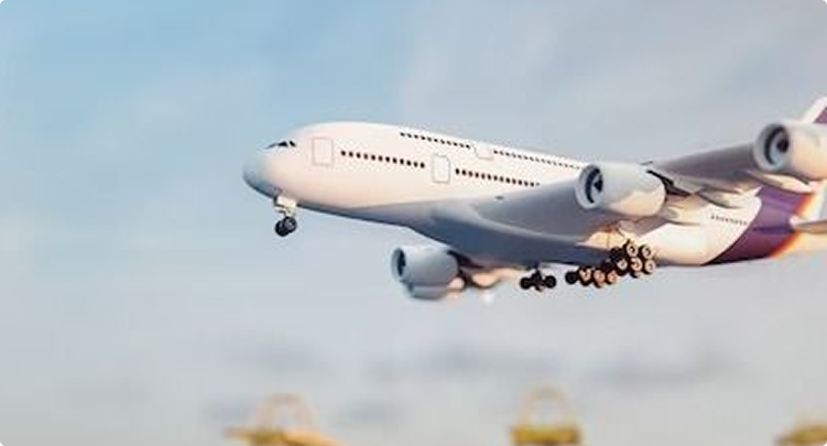International Shipping Options